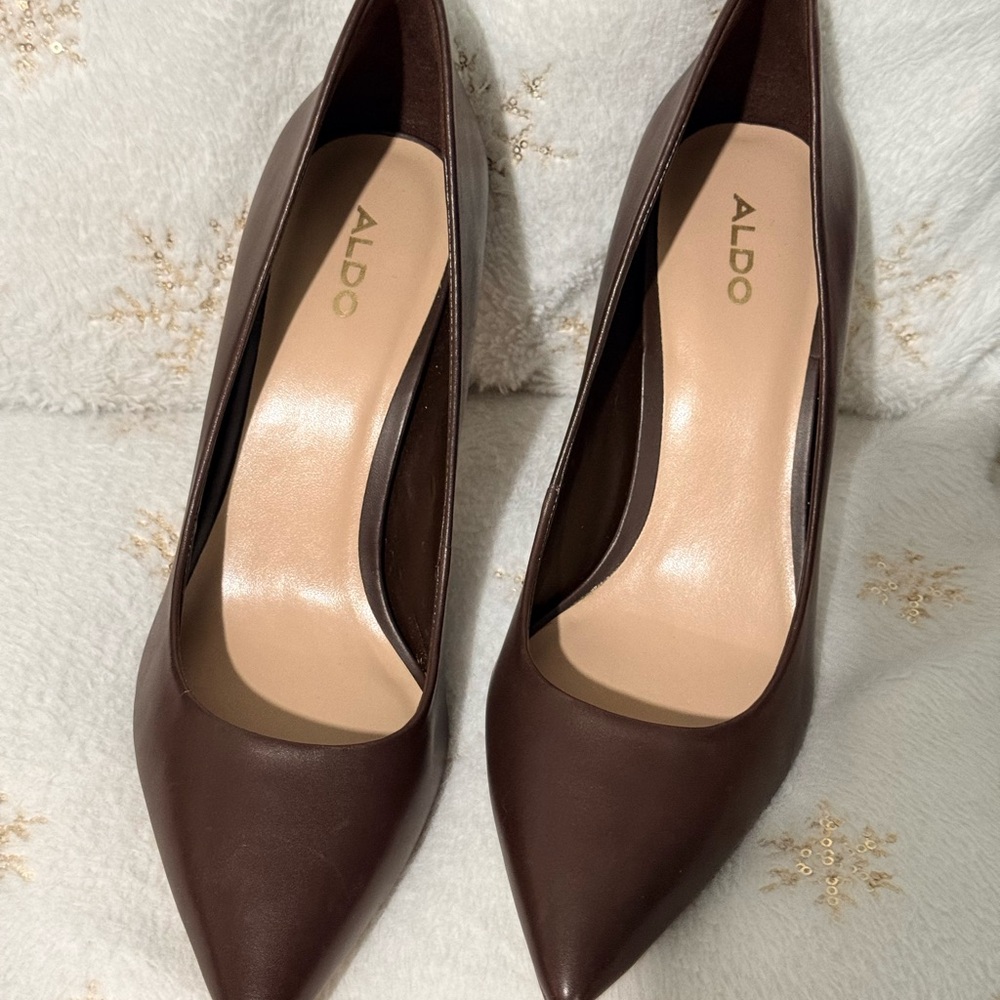 ALDO Women's Pointed-Toe Pumps in Dark Brown Leather